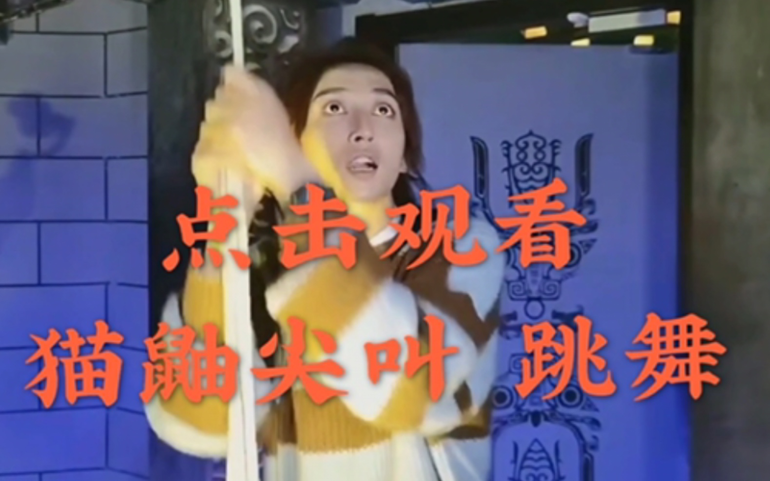 刘畅木法沙猫鼬吓得尖叫跳舞实录cut