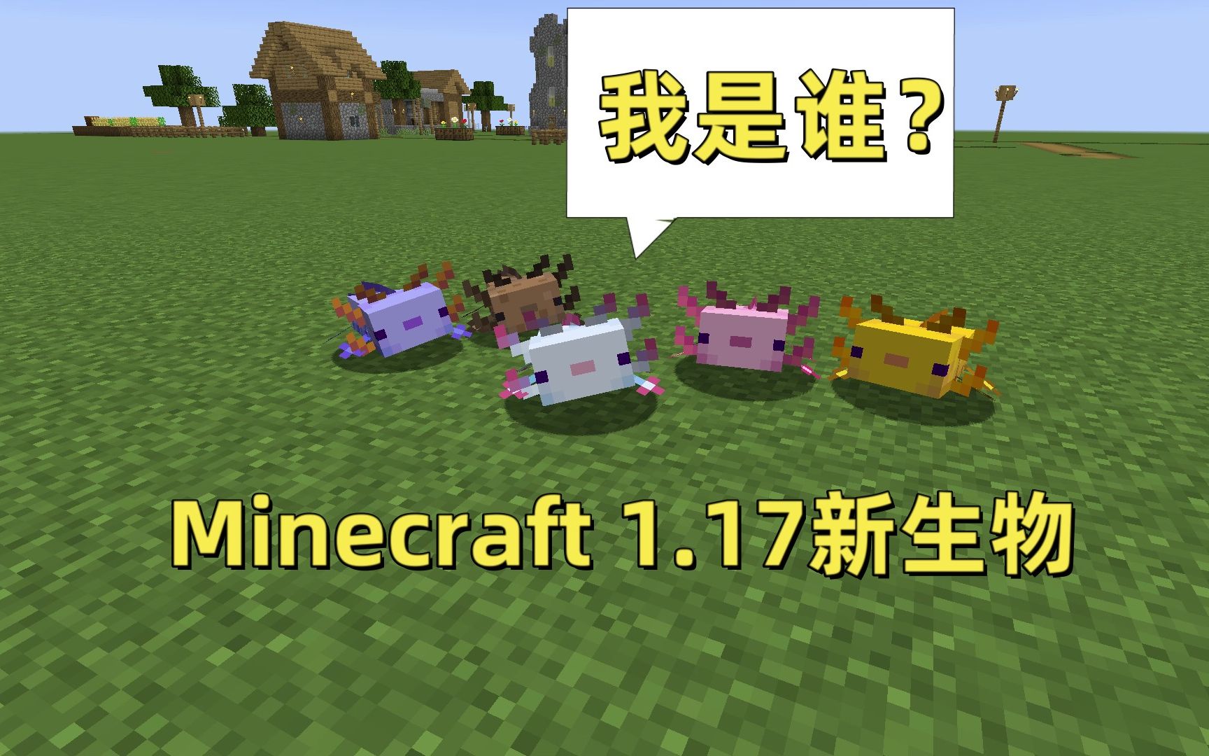 我的世界1.17最新呆萌生物ⷮŠ蝾螈?20w51a 介绍哔哩哔哩bilibili