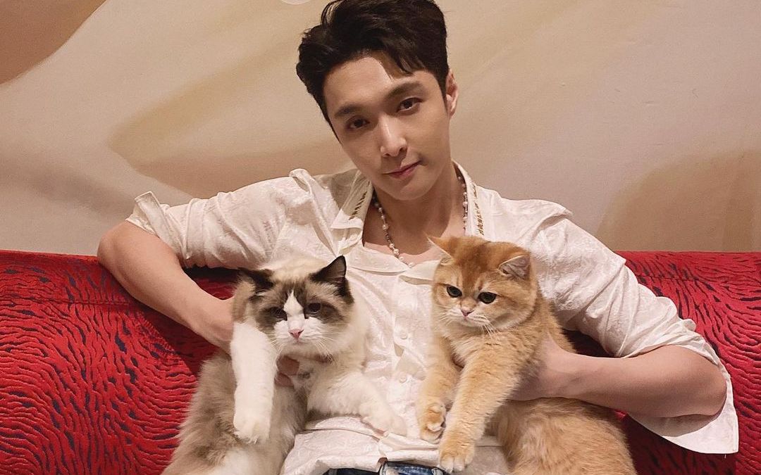 【张艺兴】张爸爸聊四只猫的性格和相处 噜噜 萝卜 老三 四弟