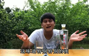 中国八大名酒之一的古井贡你怎么看？