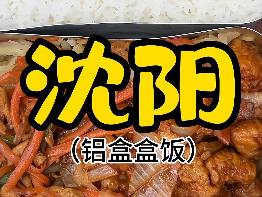 东北街边8元一份盒饭,满满一盒饭一盒菜根本吃不完!哔哩哔哩bilibili