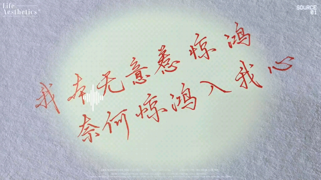 "我本无意惹惊鸿,奈何惊鸿入我心.
