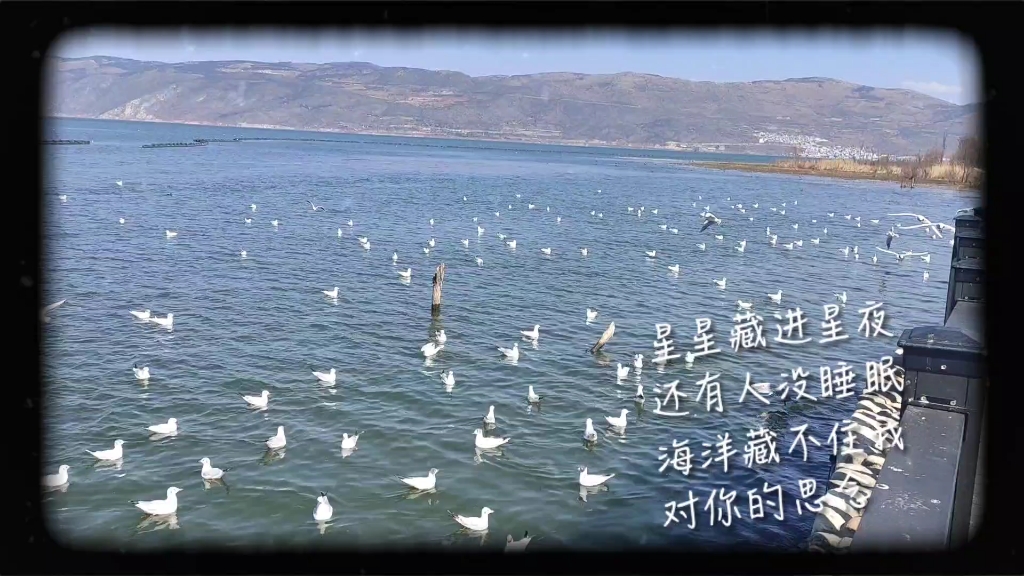 片段唯美_哔哩哔哩_bilibili