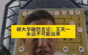 Tải video: 柳大华破防言论：王天一关在里面死死的，永远不可能出来！