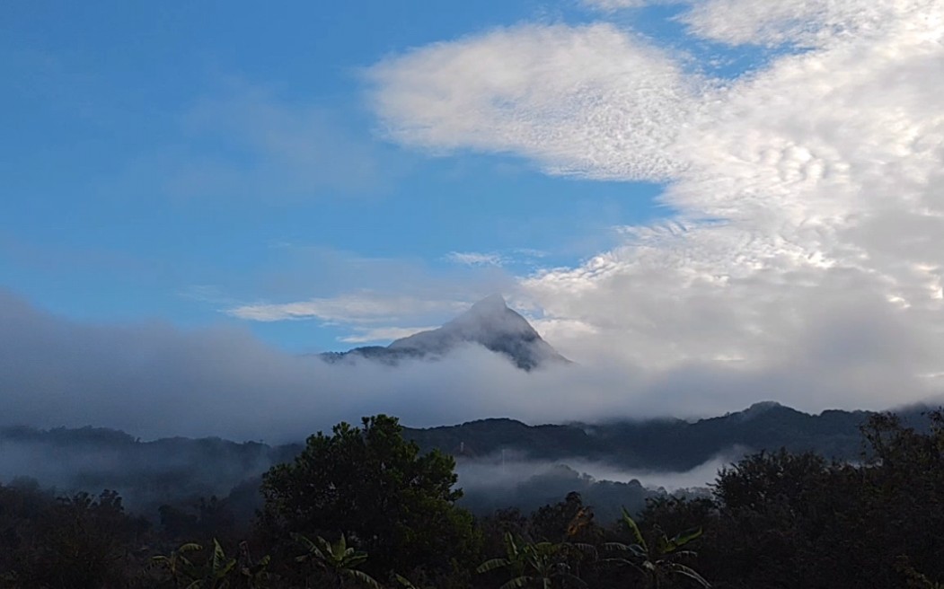 海南之巅,五指圣山,登顶五指山最高峰全程记录之一,感叹大自然的神奇哔哩哔哩bilibili