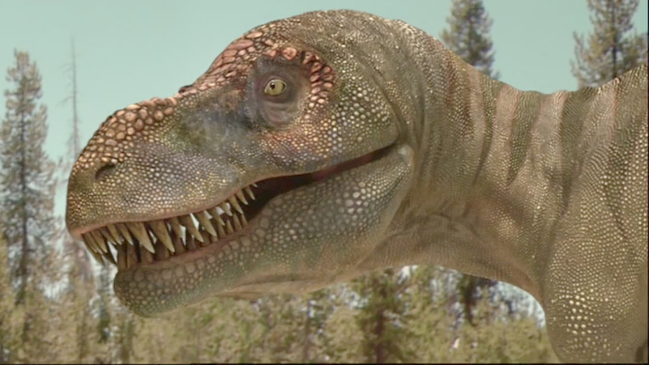 闇哥帇榫欐槸鍗氱墿棣嗘渶鍙楁杩庣殑鏄庢槦锛屼絾鍑剁鎭剁厼鐨勫