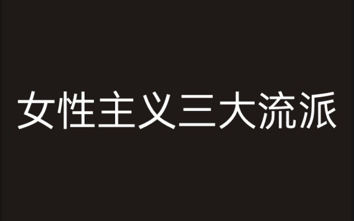 [图]1.1 女性主义理论