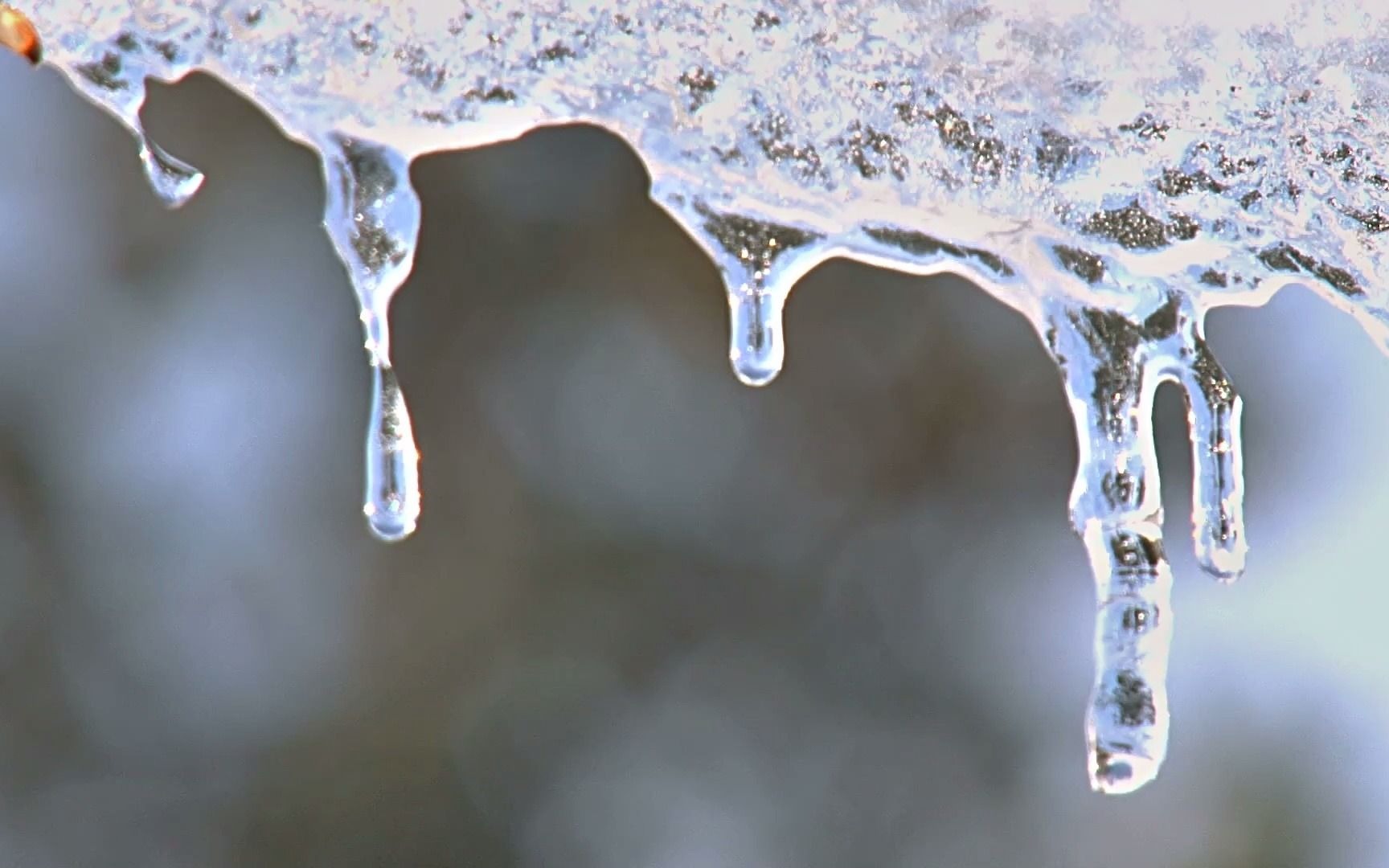 空镜头视频素材 冬季冰雪融化 素材分享哔哩哔哩bilibili