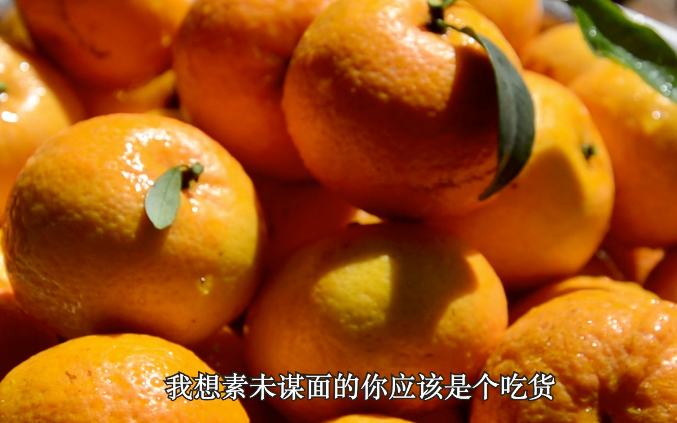 胖柑给大家的一封小情书