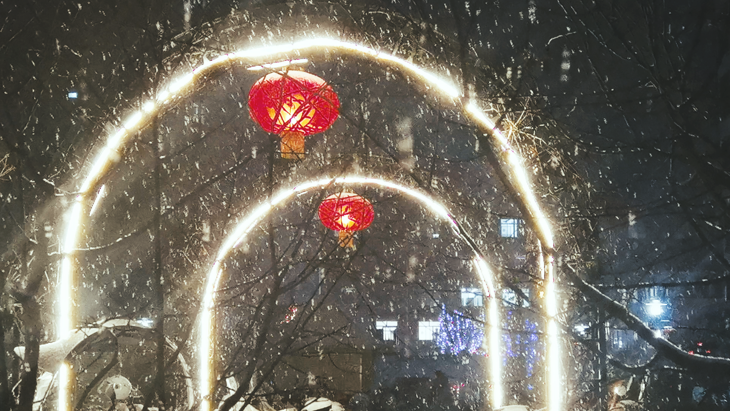 雪夜61下雪实拍 | 万家灯火里每一片雪都是翔舞的精灵