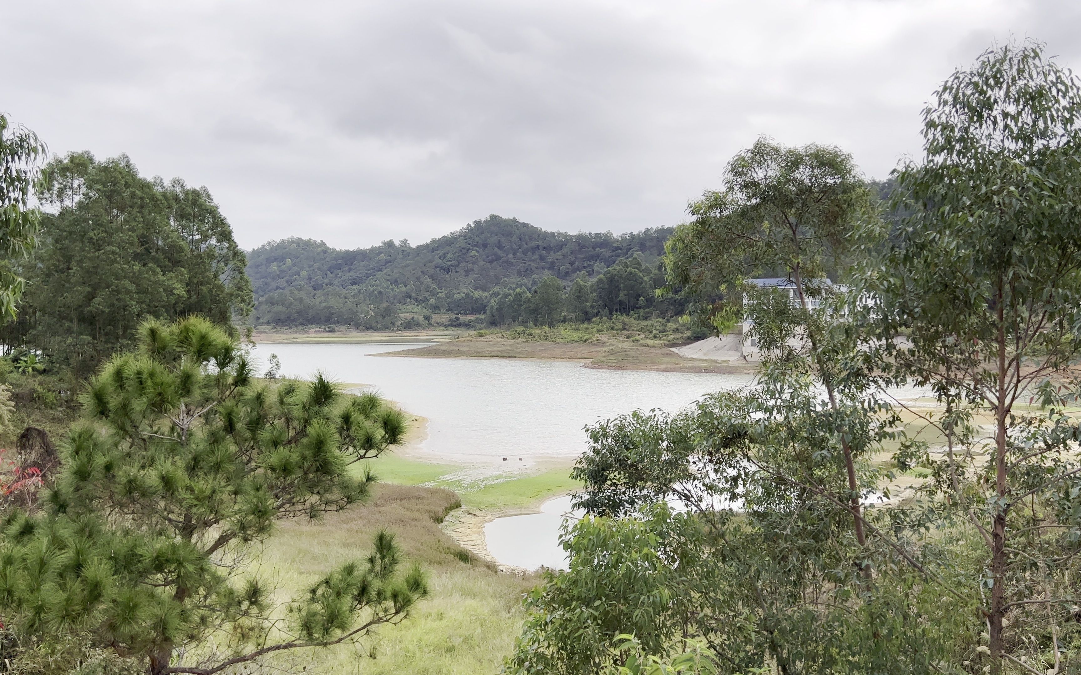 原片摄影】【hdr】【4k】广东省惠州市观洞湖水库森林公园游记vlog2