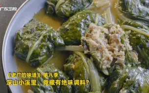 Download Video: 【老广的味道 第八季】看点14：深山小溪里，竟藏有绝味调料？竖版