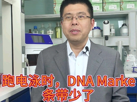 跑电泳时,DNA Marker条带少了,是什么原因呢?哔哩哔哩bilibili