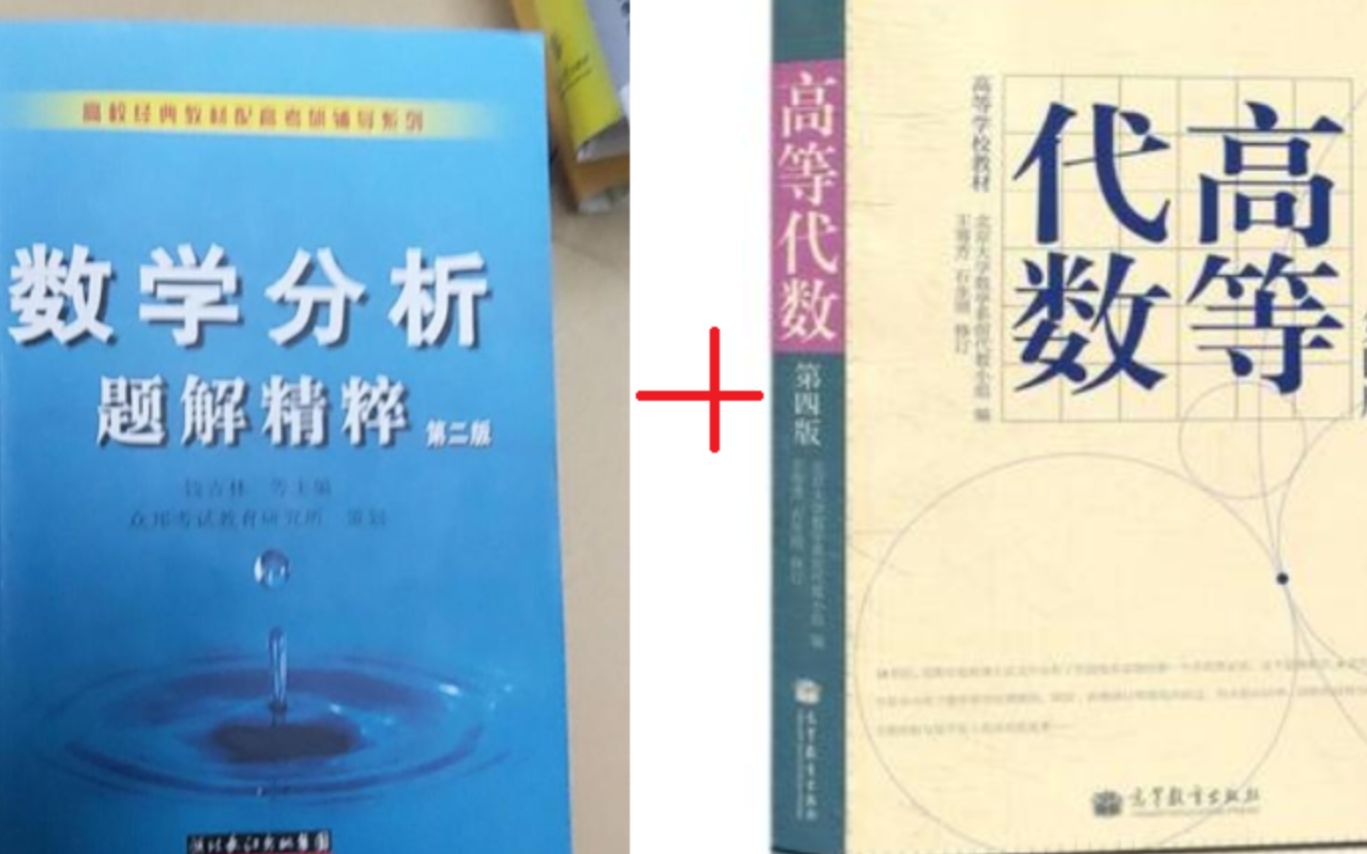 北大数学科学学院沙雕复习谢惠民(定积分3)哔哩哔哩bilibili