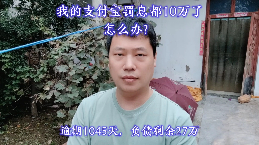 我的支付宝罚息都10万了,怎么办?哔哩哔哩bilibili