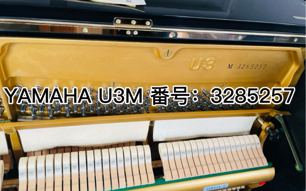 YAMAHA U3M 番号:3285257哔哩哔哩bilibili