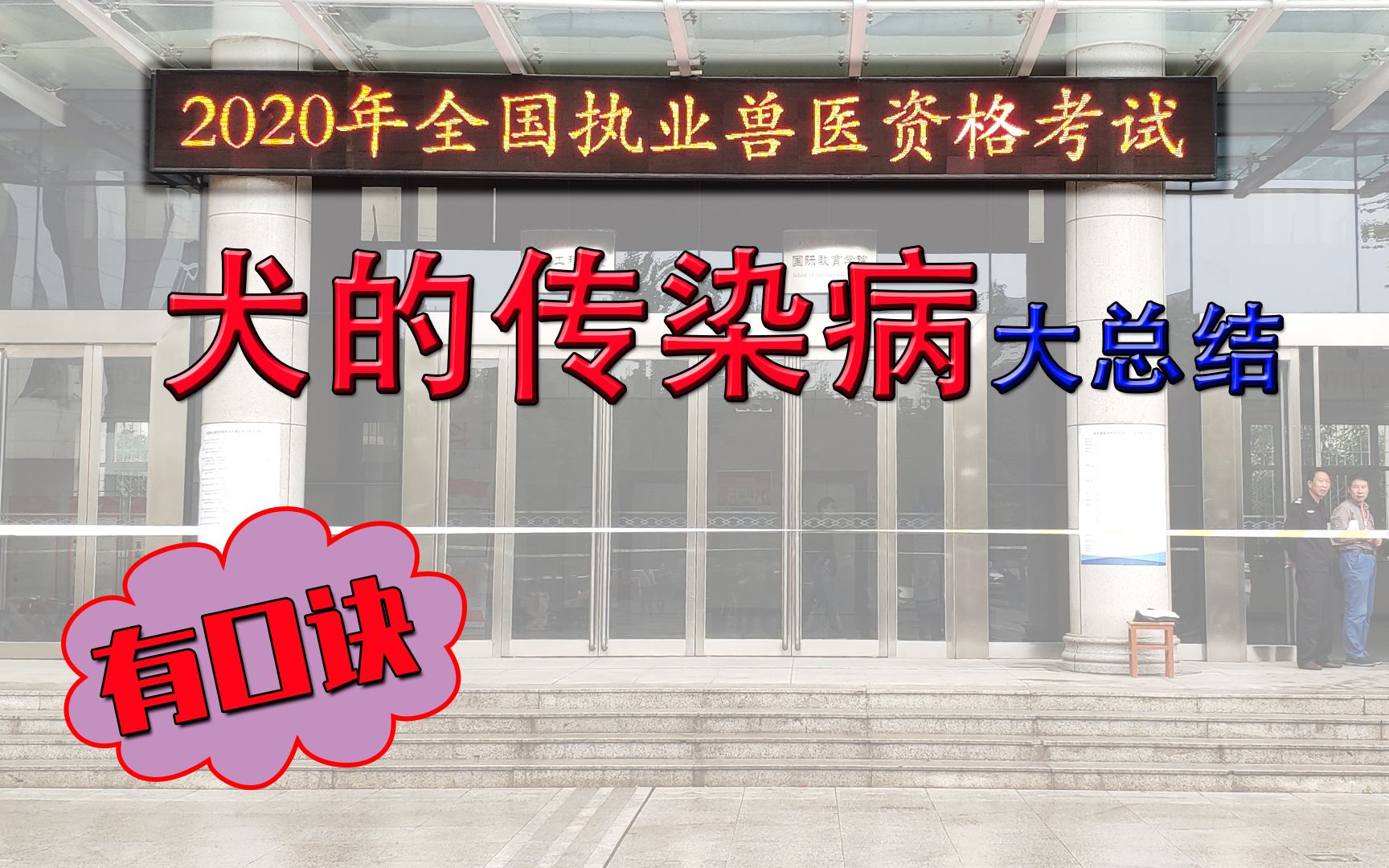 执业兽医考试犬的传染性疾病全面总结,犬瘟热、犬细小、传染性肝炎和冠状病毒腹泻,有口诀哔哩哔哩bilibili