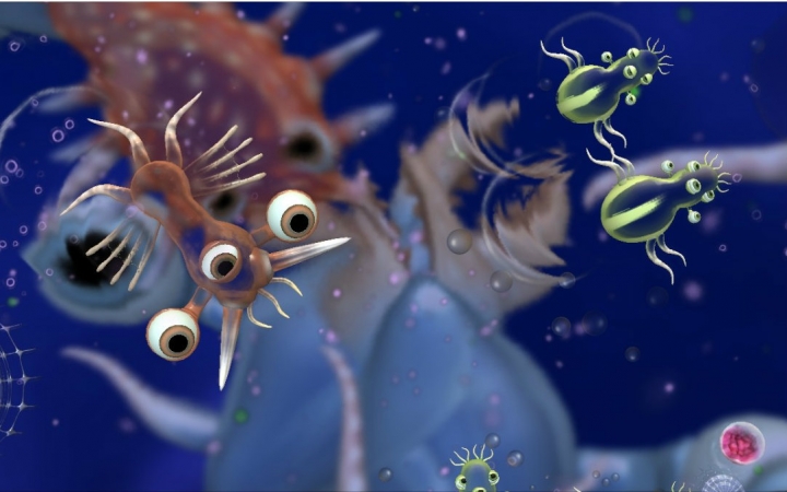 是不是很腻害!【孢子 第六期】