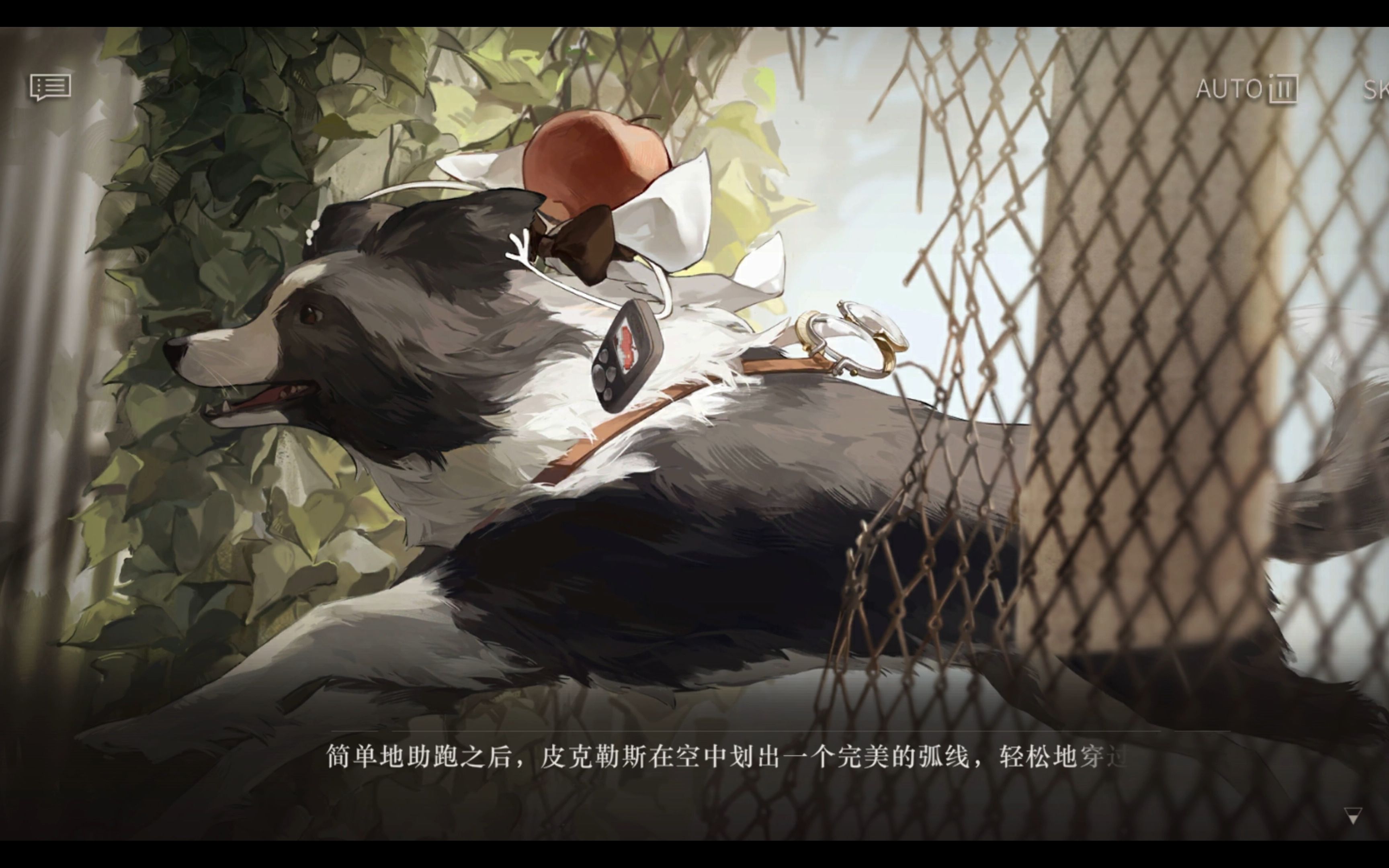 雷米特杯 10 小礼物