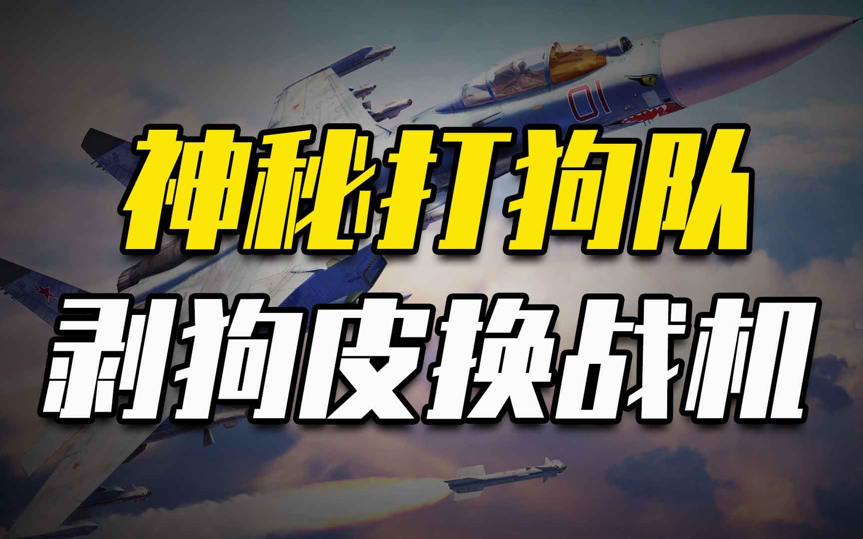 90年代神秘打狗队,三省死亡18万条狗,剥掉狗皮只为获得先进战机哔哩哔哩bilibili