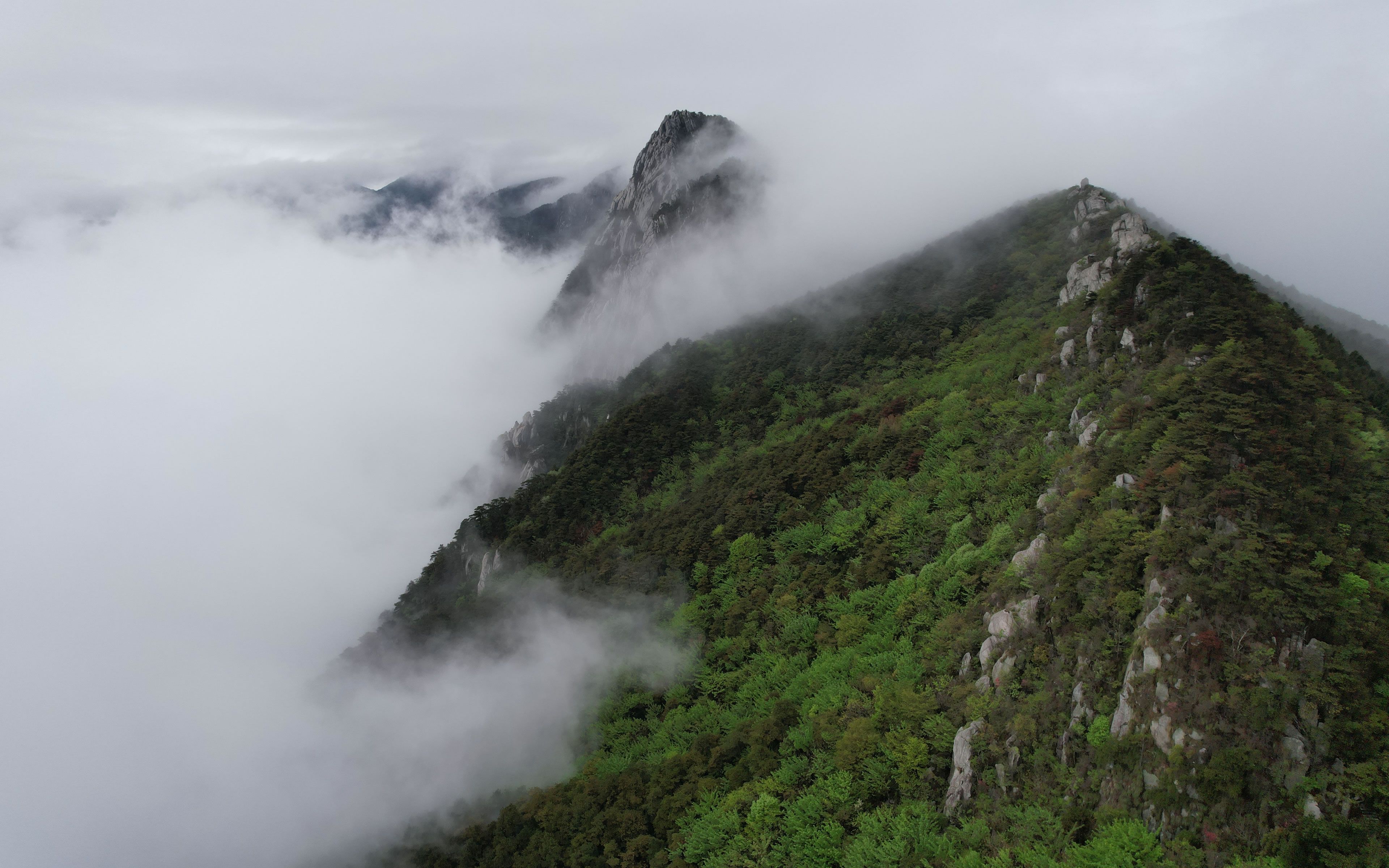 [图]鸟瞰庐山 闲庭信步