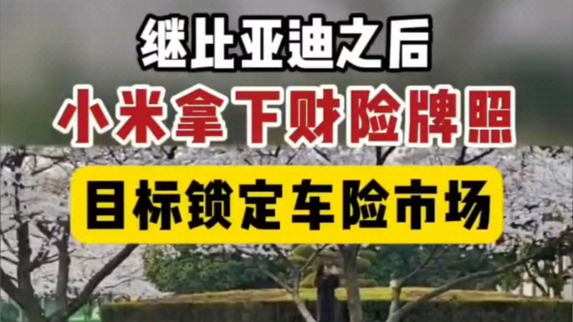 小米汽车拿下汽车保险牌照,正式进军汽车保险市场哔哩哔哩bilibili