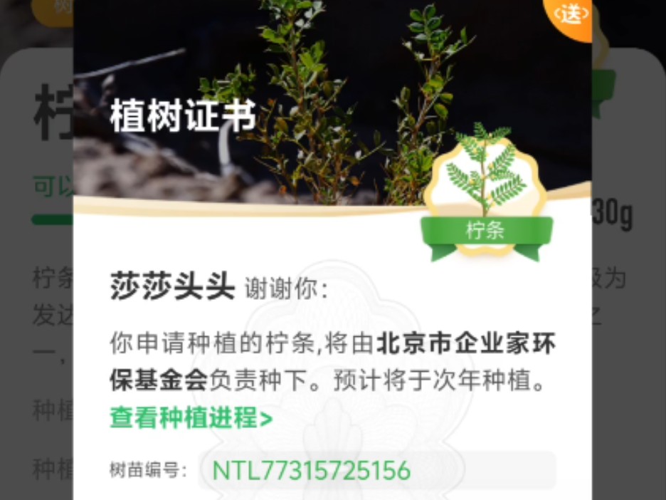 【蚂蚁森林】种下第一棵柠条