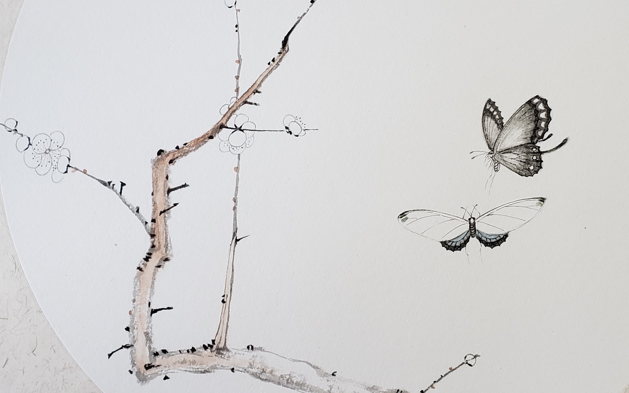 国画工笔花鸟《梅花双蝶》无底稿双勾【见田斋】_哔哩哔哩 (゜-゜)つ