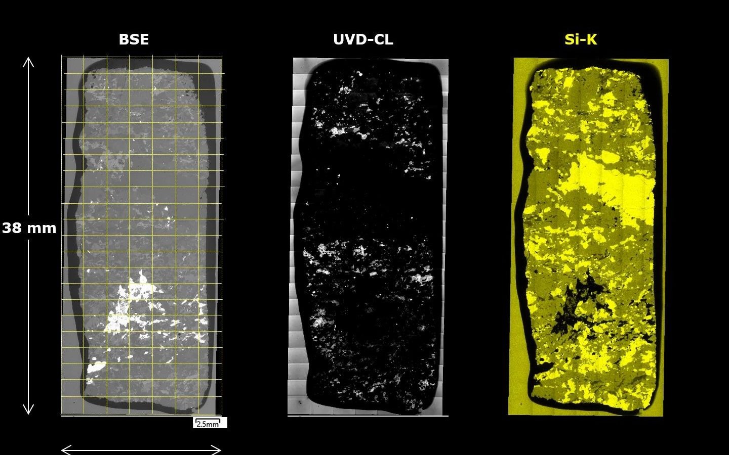 [电镜]矿物薄片大面积SEMEDX分析哔哩哔哩bilibili