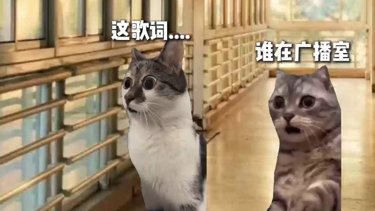 当学校广播放了这首儿歌时-呀哈哈丿-呀哈哈丿-哔哩哔哩视频