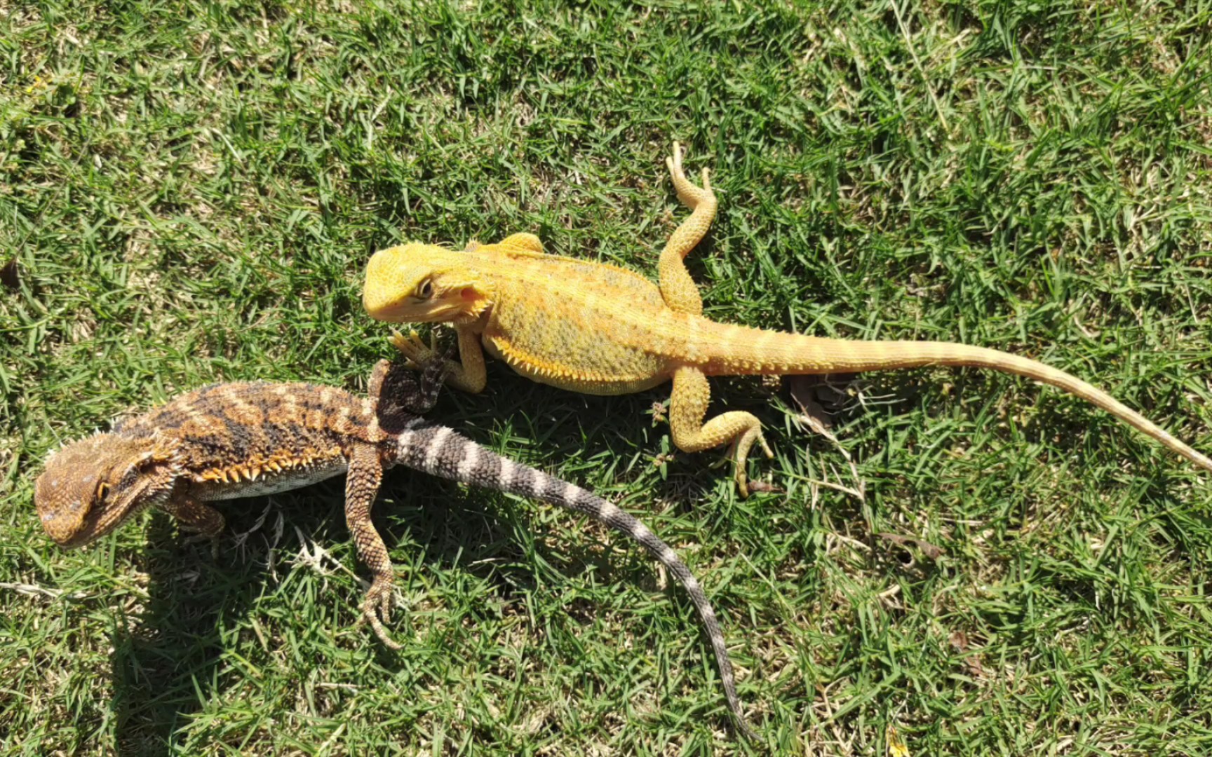 宝宝萌态大放送 超可爱宝宝写真集
