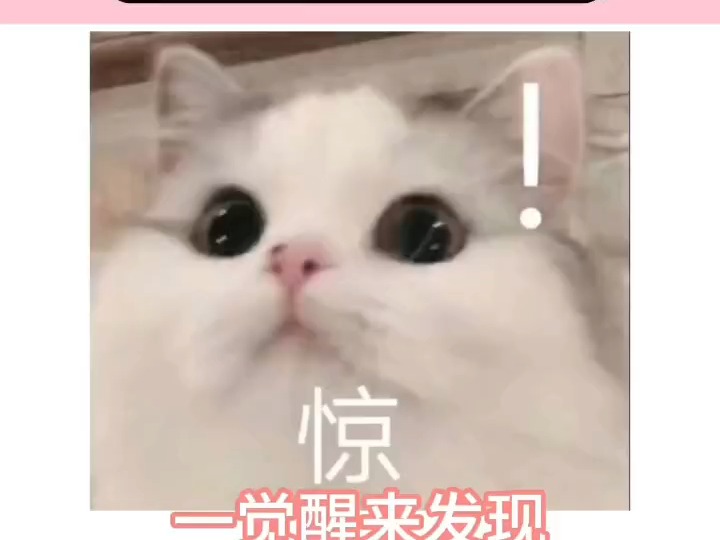 刘梓晨塌房?哔哩哔哩bilibili