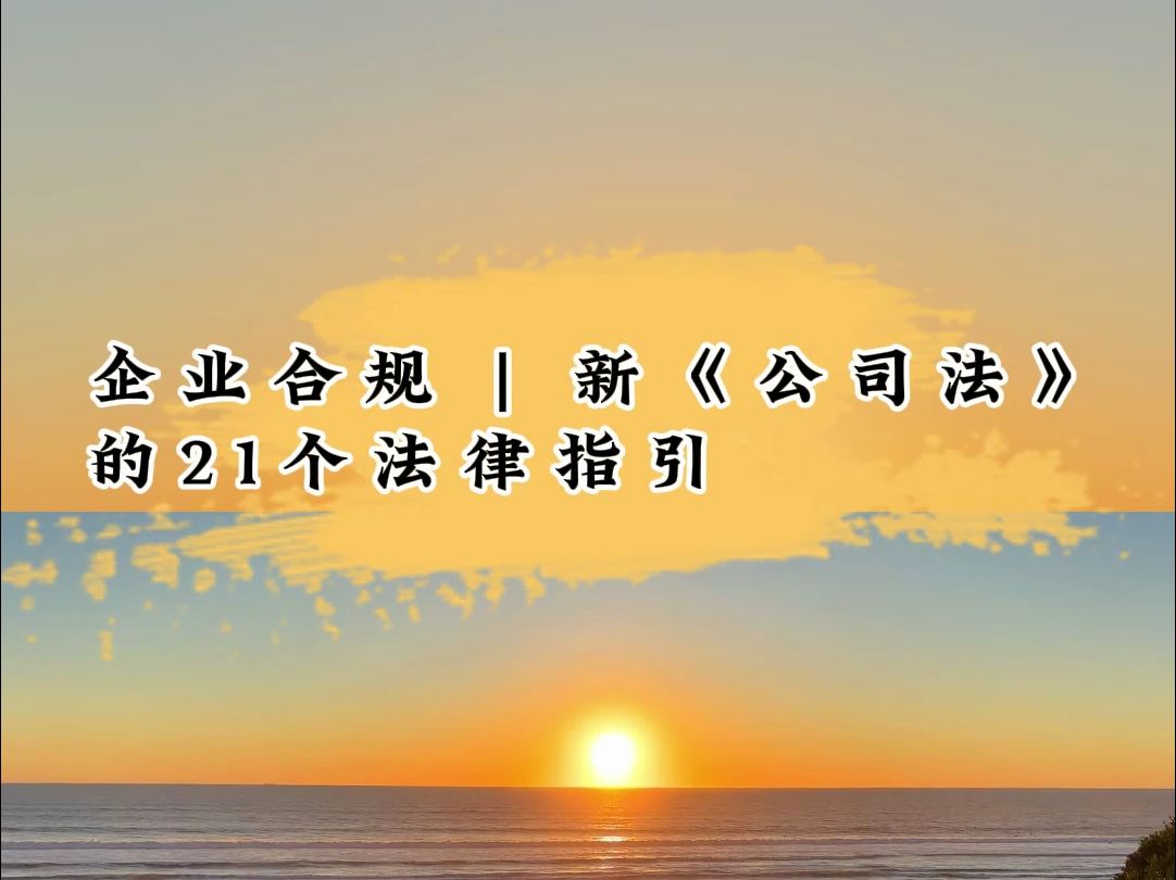 企业合规 | 新《公司法》的21个法律指引哔哩哔哩bilibili