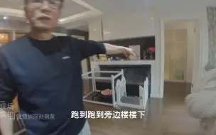 Télécharger la video: 上海静安找猫：别说哪里都找过都没找到，猫咪就在那里！