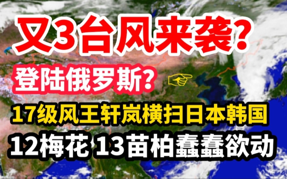 3台风组团来袭?风王轩岚诺横扫日韩俄,12梅花13苗柏蠢蠢欲动!哔哩哔哩bilibili