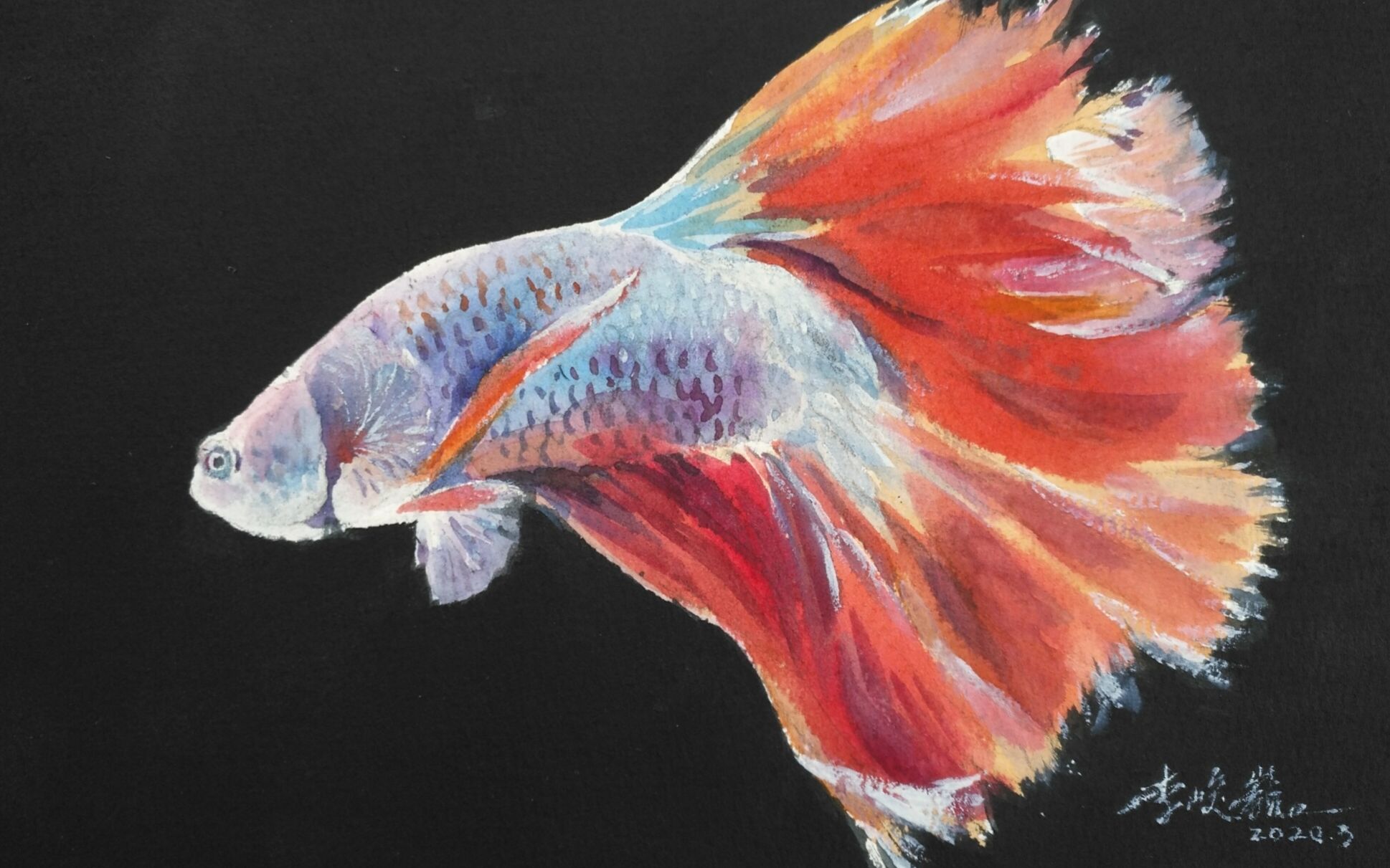 【阿威水彩】-斗鱼水彩过程_哔哩哔哩 (゜-゜)つロ 干杯~-bilibili