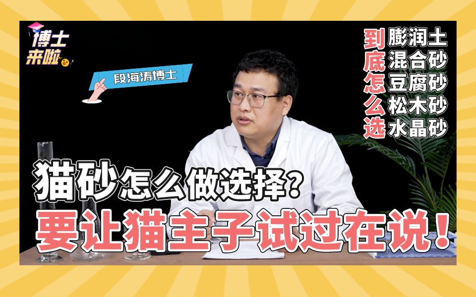 【博士来啦】这么多猫砂种类,应该听“猫主子”的选择哔哩哔哩bilibili