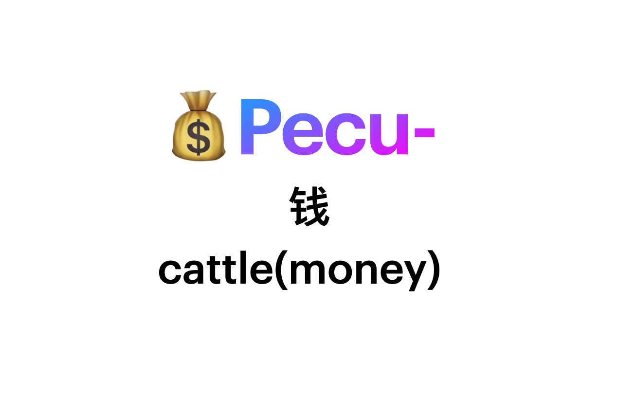 Pecu词根哔哩哔哩bilibili