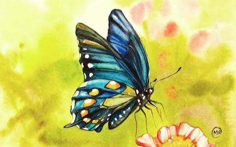 水彩蓝蝴蝶绘画教程演示_哔哩哔哩 (゜-゜)つロ 干杯~-bilibili