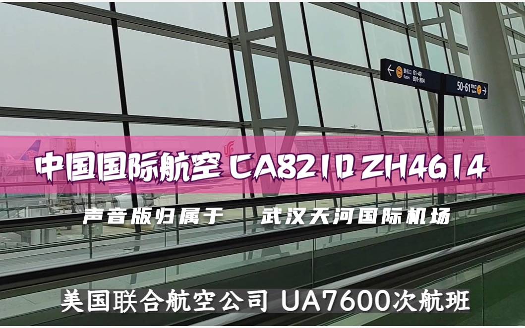 [Airport Announcement] 中国国际航空 CA8210 ZH4614 北京首都武汉T3 Domestic Arrivals哔哩哔哩bilibili