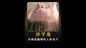 Video herunterladen: 沙滩里竟藏着可怕的怪物