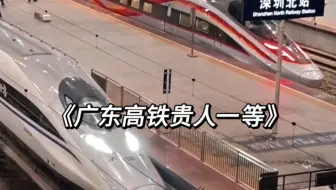 高铁分两种，一种是广东高铁，一种是其他高铁……