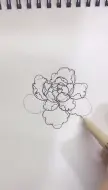 Video herunterladen: 【白描牡丹花】今天教大家牡丹花的大致画法。