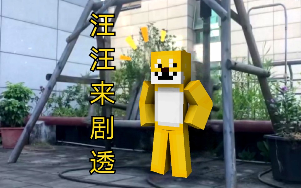 mc皮肤汪汪来剧透