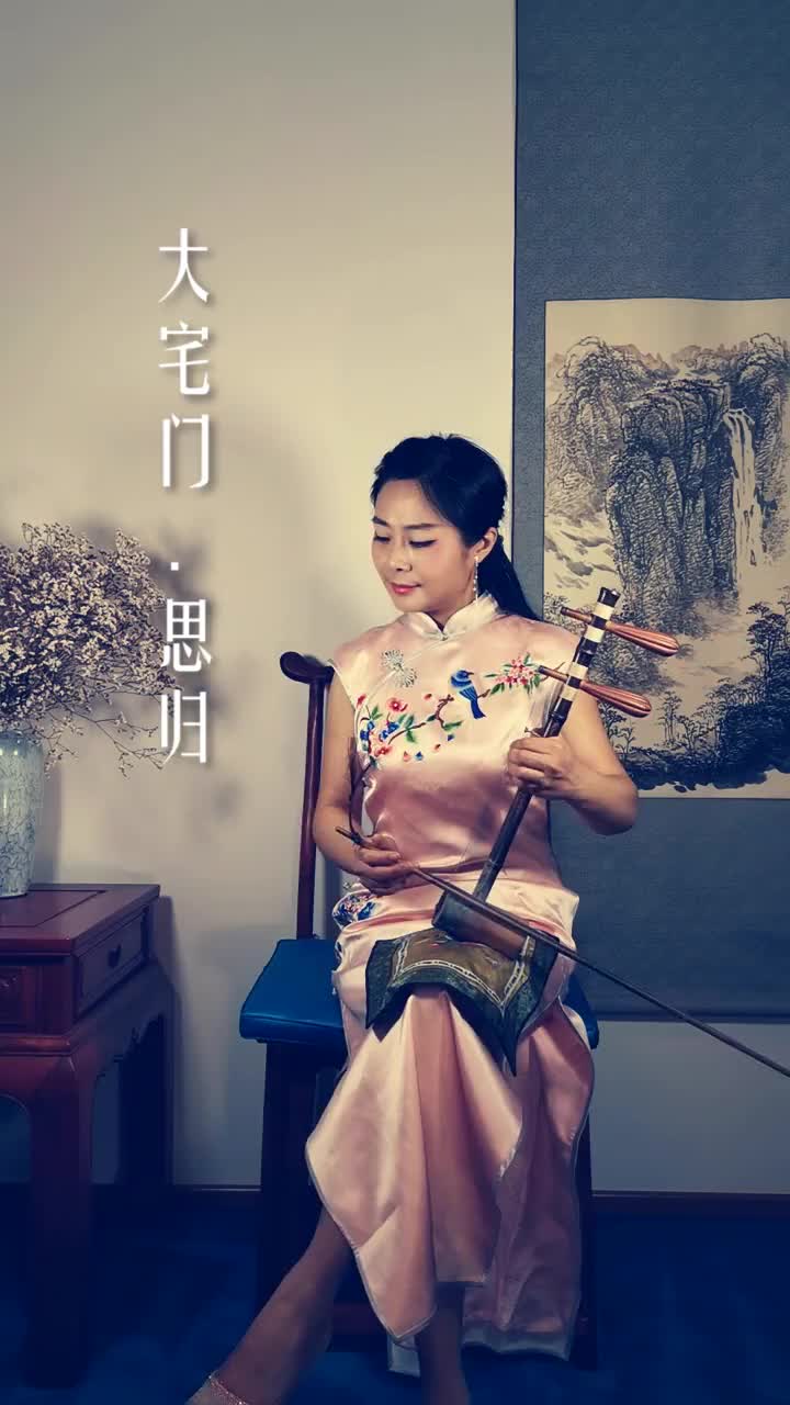 乐器演奏大宅门宋婷婷京胡抖音小助手