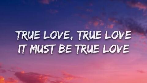 P!NK FT LILY ALLEN- TRUE LOVE LYRICS 