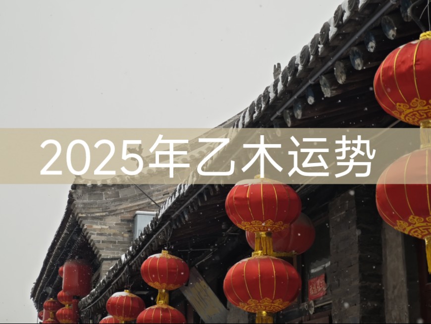 【八字】2025年乙木运势哔哩哔哩bilibili