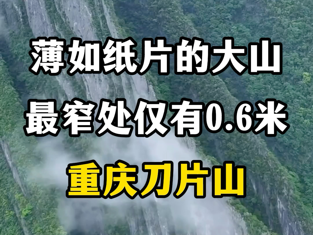 薄如纸片的大山,最窄处仅有0.6米,重庆刀片山.#国内旅游推荐地方 #重庆周末爬山好去处推荐 #刀片山 #自然奇观哔哩哔哩bilibili