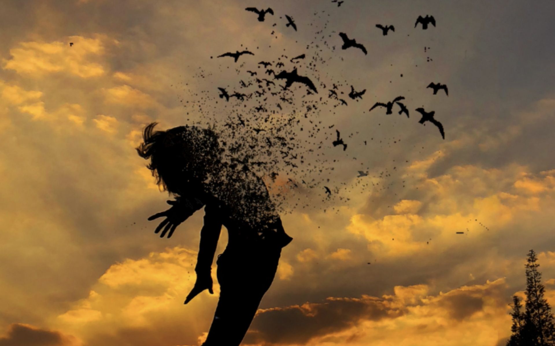 拍照教程夕阳下的剪影这么拍美出高级感