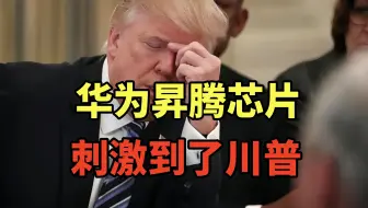 华为、海光、寒武纪正在顶替英伟达！老美围堵反成助攻